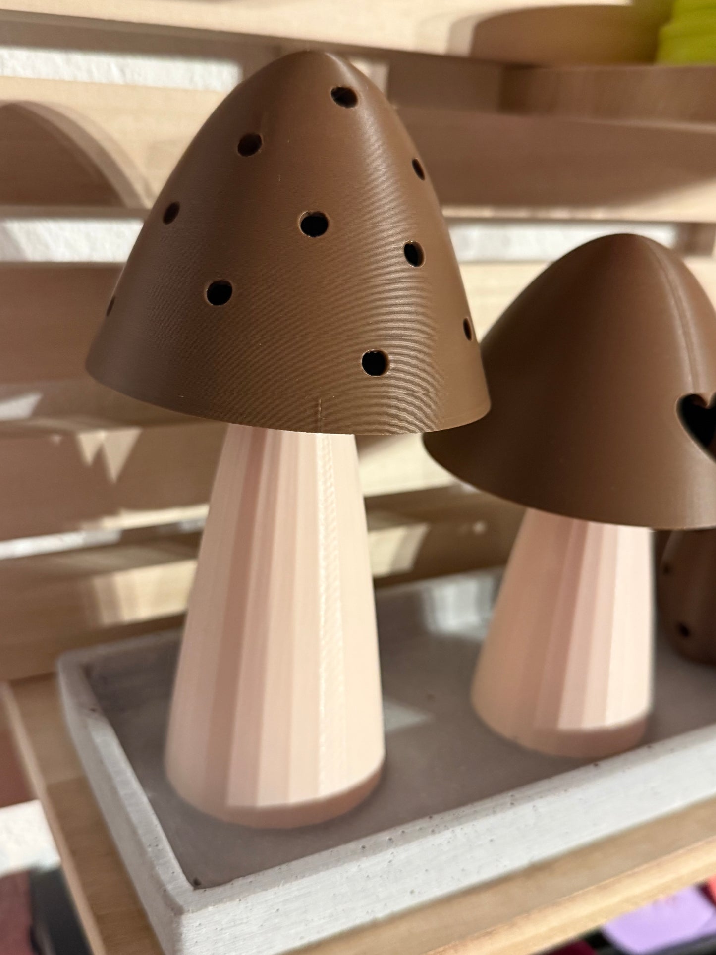Leuchtpilz-Set „Magic Glow Mushrooms“