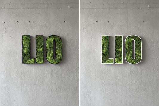 Moos Buchstaben Personalisiert