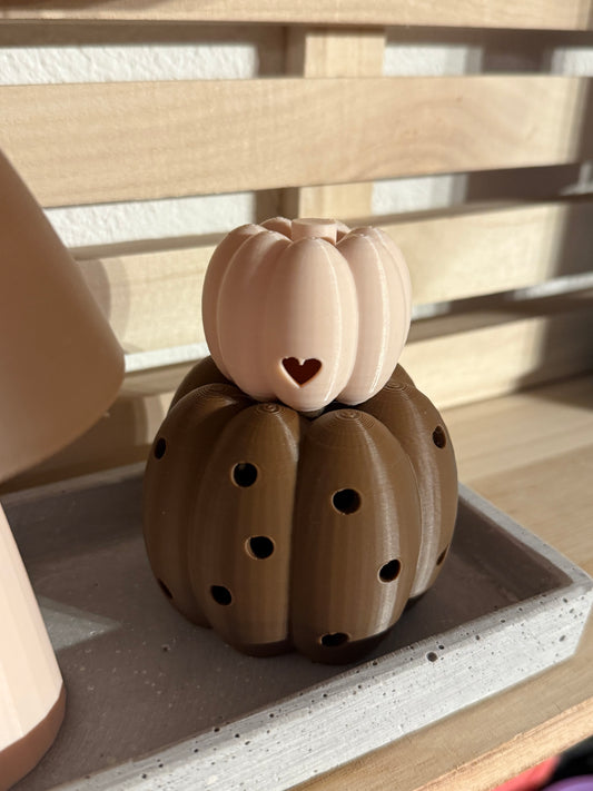 Mini-Leuchtkürbisse „Glowgourds“