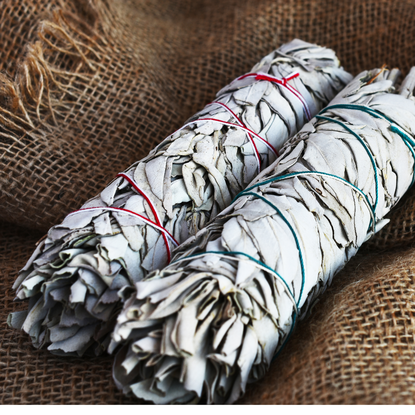 Weißer Salbei-Bündel – Reinigen, Klären & Erden 🌿✨