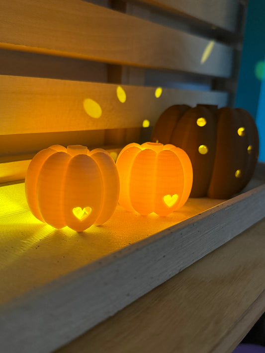Mini-Leuchtkürbisse „Glowgourds“