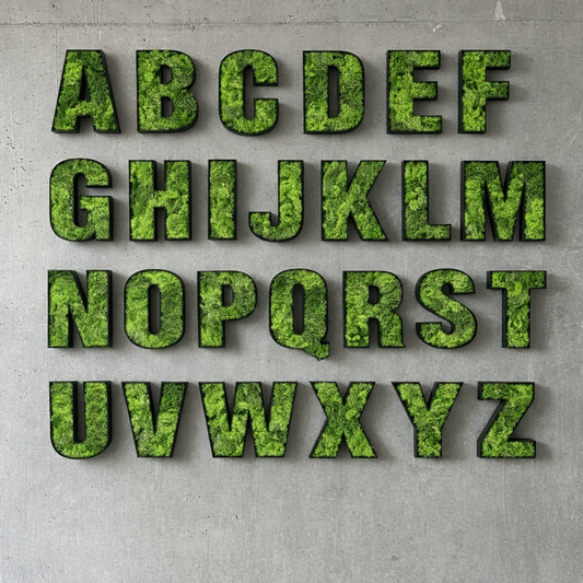 Moos Buchstaben Personalisiert